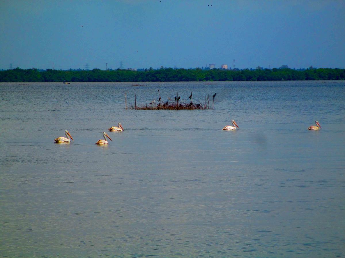 Nico Lagoon Hotel Negombo Exterior photo